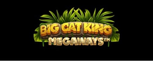 unibet-bigcat-featured