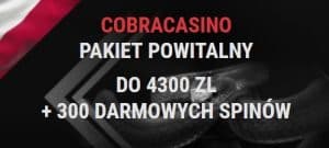 Bonus powitalny 4300 zł i 300 darmowych spinów do odebrania w Cobra Casino